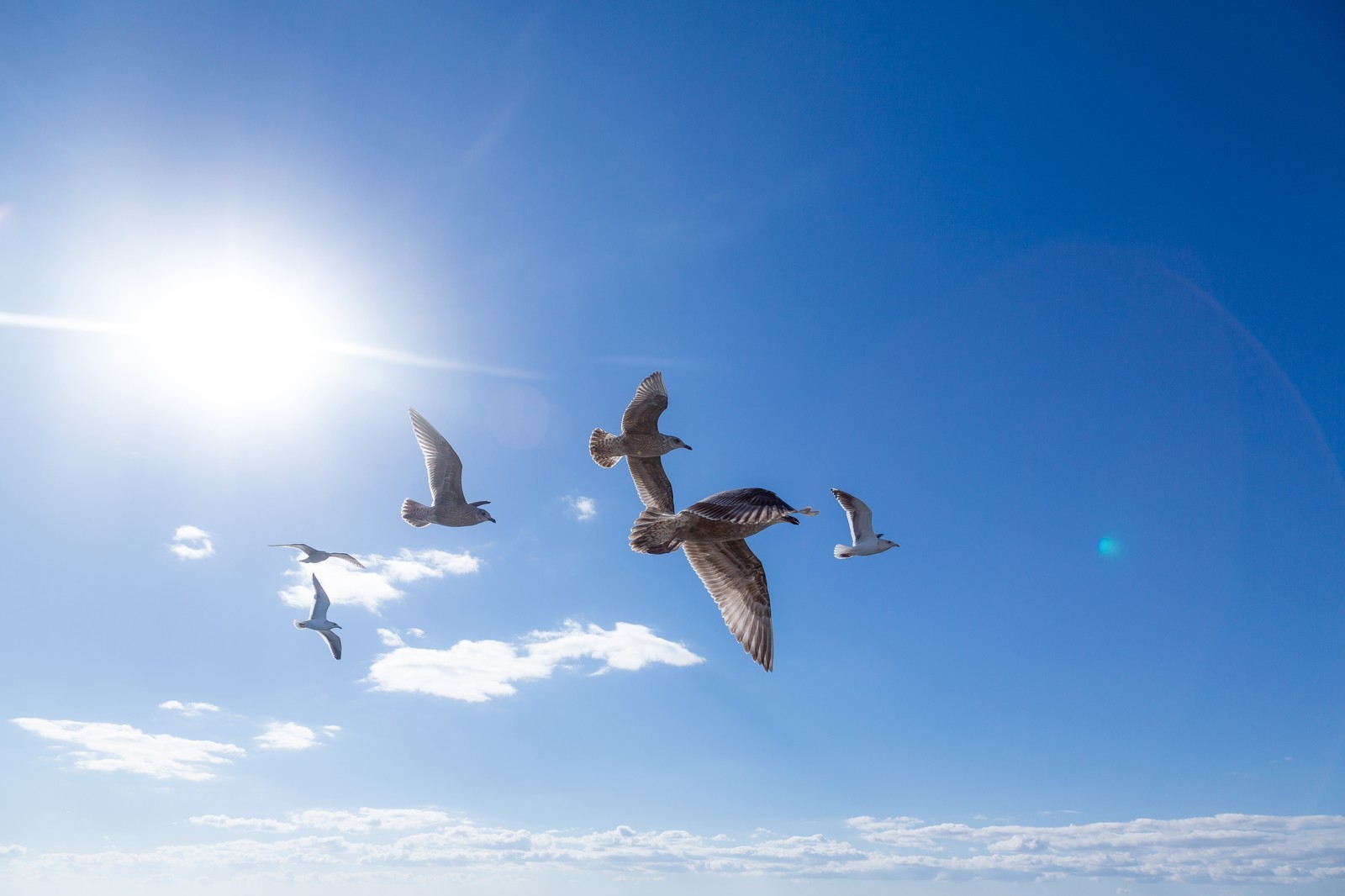 PAKU151219070I9A0922_TP_V